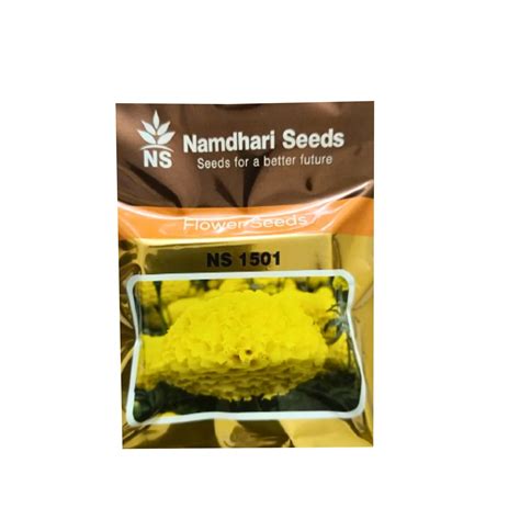 NS 1501 Marrigold Seeds – Agriplex