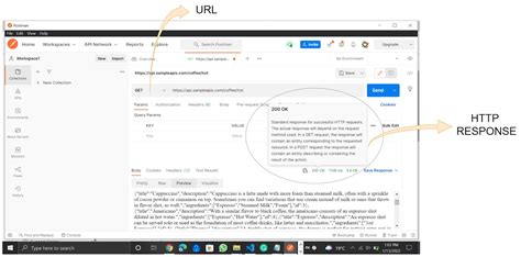 Image result for Postman Introduction and GUI