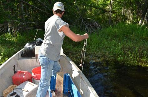 Snapping Turtle Hunting 的图像结果