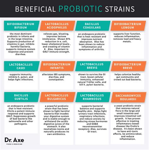 How Do Probiotics Help The Digestive System at James Urbina blog