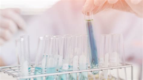 Image result for Identification Test Sample