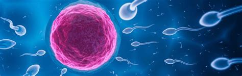 Infertility In Men Causes, Symptoms, Diagnosis and Treatment
