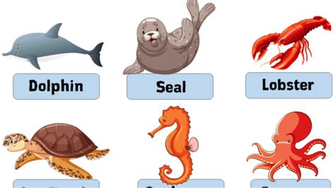 Animal Swim 的图像结果