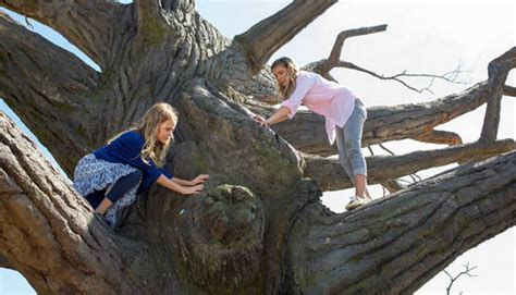 Miracles From Heaven - Plugged In