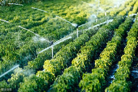 【深度报告】2022年中国节水灌溉行业发展现状与竞争格局分析_设备_技术