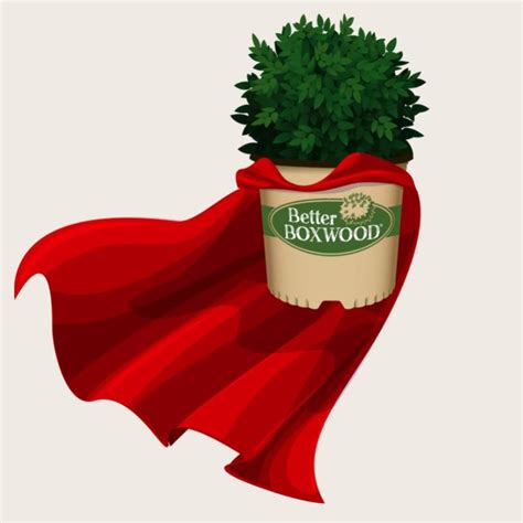 Rezultat imagine pentru Privacy Moderate