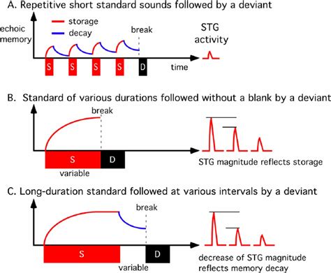 Image result for Example of Echoic Behavior