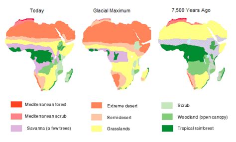 African Vegetation Map