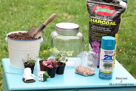 Image result for Terrarium Making111