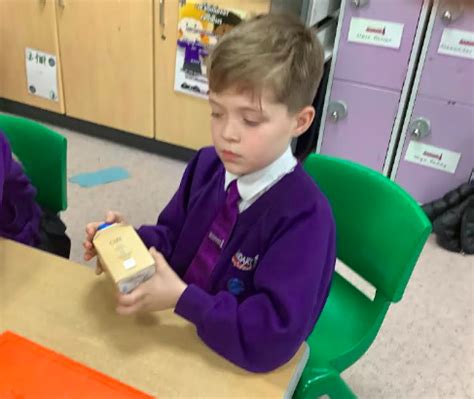 Image result for Shell Structure Kids