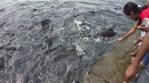 Shri Shankara Matha - Chikkamagaluru Branch, Chikmagalur - Tripadvisor