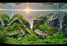 amano aquascape jenis jenis tema pada aquascape dunia akuarium amano aquascape jenis jenis tema pada aquascape dunia akuarium