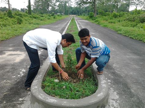 LANDSCAPING DEVELOPMENT ACTIVITY, 2014 - 2015 - Horticulture Section