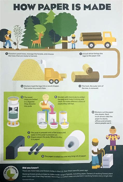 Image result for How They Make Paper