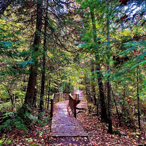 ESTIVANT PINES NATURE SANCTUARY - All You Need to Know BEFORE You Go ...