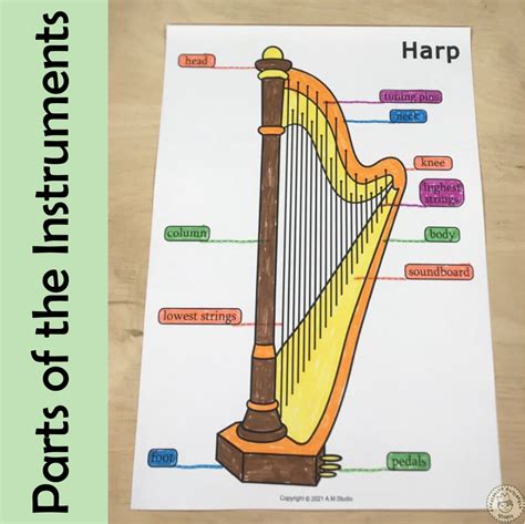 Image result for String Instruments Explained for Children