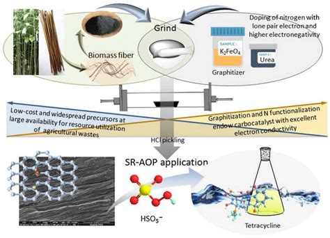 Degradation of Water Pollutants by Biochar Combined with Advanced ...