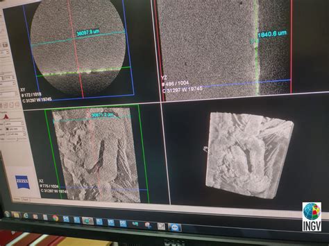 Scipionyx samniticus, nuove indagini in corso sul fossile di 'Ciro ...