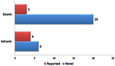 A Rare MSH2 Variant as a Candidate Marker for Lynch Syndrome II ...