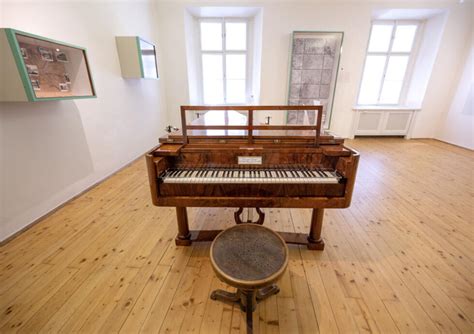 Ode to joy: How Austria shaped Beethoven's Ninth