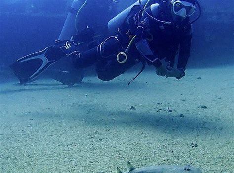 Cabo Pulmo Diving - All You Need to Know BEFORE You Go