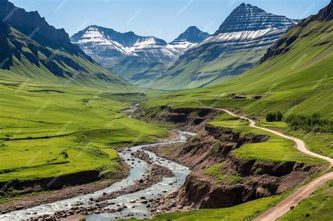 Path 的图像结果