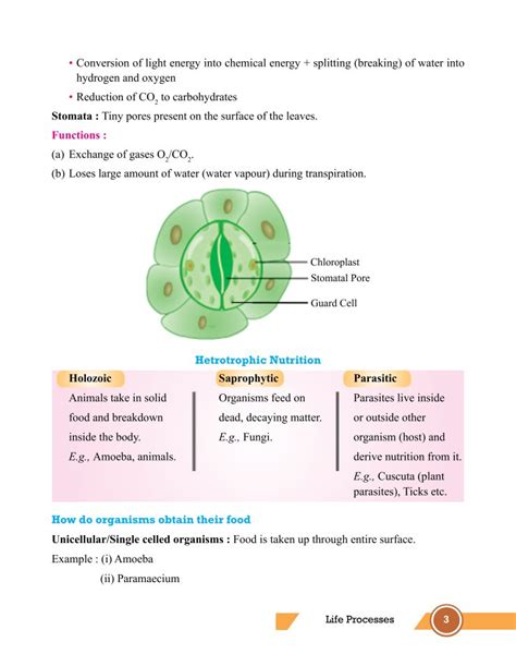Image result for Class 10 Science Chapter 6 Notes