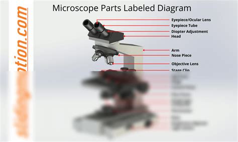 Microscope Labeled Parts 的图像结果