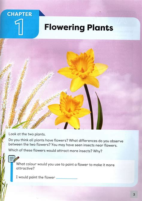 Image result for Class 5 Science Unit