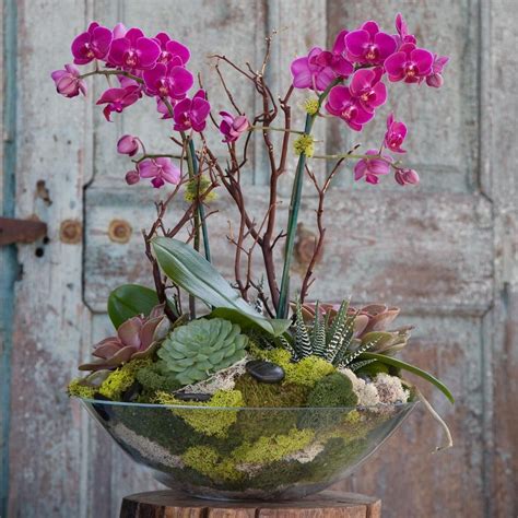 55 Best Orchid Arrangements with Succulents and Driftwood | Orchid ...