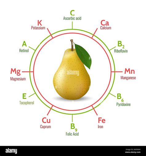Pear benefits infographic Stock Vector Image & Art - Alamy