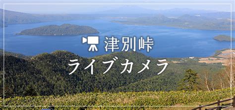 Image result for Module Application UI