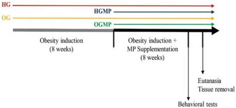 Mucuna pruriens Administration Minimizes Neuroinflammation and Shows ...