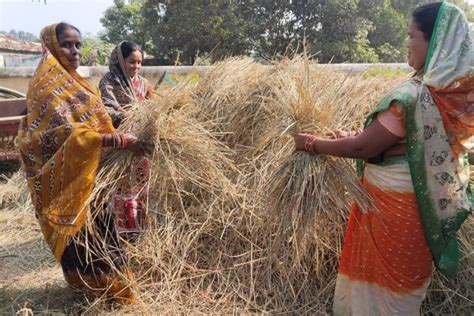 How Amazon and IIT Roorkee are converting farm waste into recyclable packaging - About Amazon India