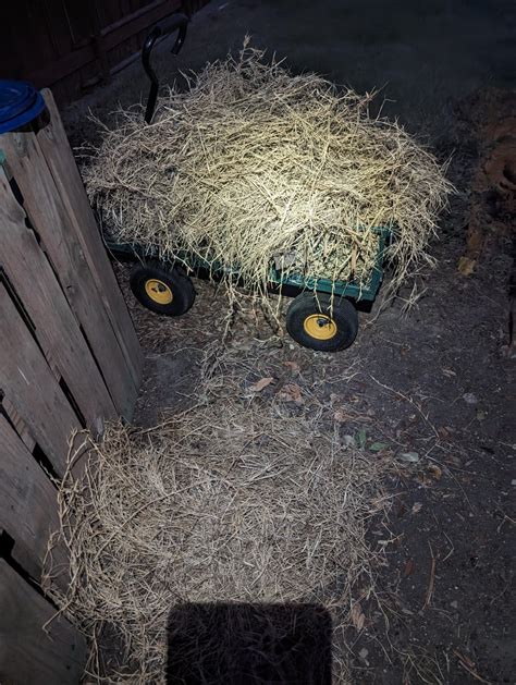 Hot would you shred/cut this before composting? : r/composting