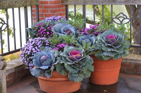 Romancing the Home | Fall container gardens, Porch flowers, Fall planters