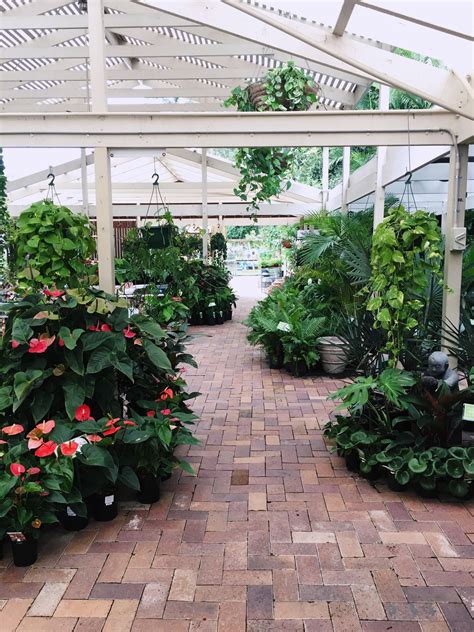 Nursery raises its biosecurity | QLD