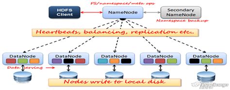 Distributed File System HDFS 的图像结果