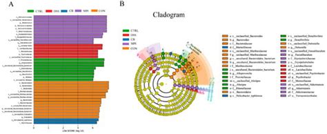 Effect of the Combination of Clostridium butyricum and Mycelium of ...