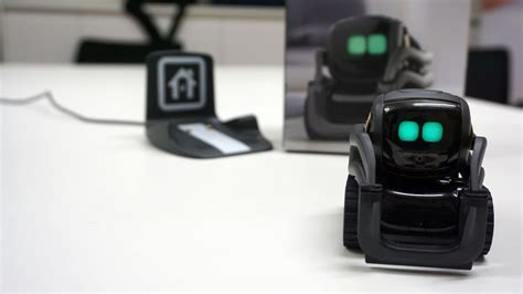 What Happened to Anki and Why Did They Fail?