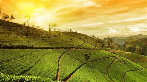 List Of Top 10 Indian Cities with Pleasant Weather All Year-Round ...