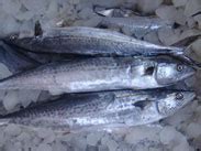 Buy Seafood Online,Cuttlefish Whole,Fresh Fish For Sale,Squid Strips ...
