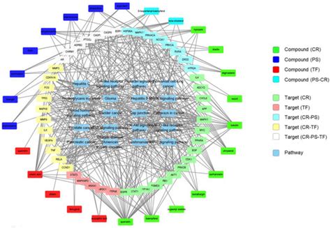 Processes | Special Issue : Network Pharmacology Modelling for Drug ...