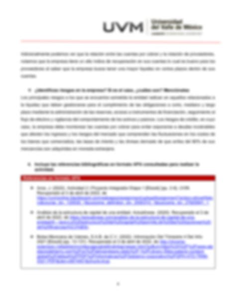 SOLUTION: UVM - Contabilidad Financiera - Proyecto Integrador Etapa 2 ...