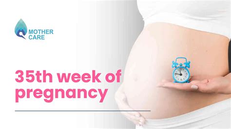 35th Week of Pregnancy: What to Expect and How to Prepare?