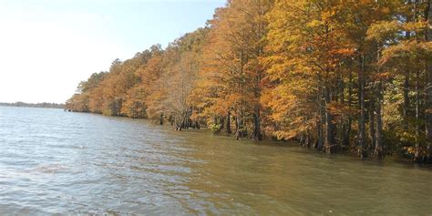 Creswell Tourism (2022): Best of Creswell, NC - Tripadvisor