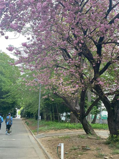 Iup Calendar Fall 2022 - Printable Word Searches