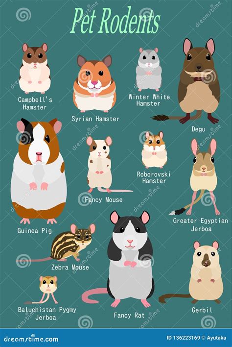Name Of Mice