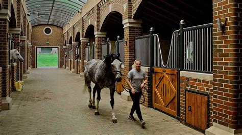 Bourne Hill Stables and UV-C disinfection | Philips lighting
