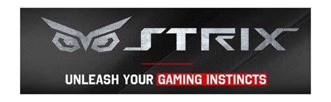 Amazon.in: Buy Asus DC2OC-4GD5 Graphics Card Online at Low Prices in ...